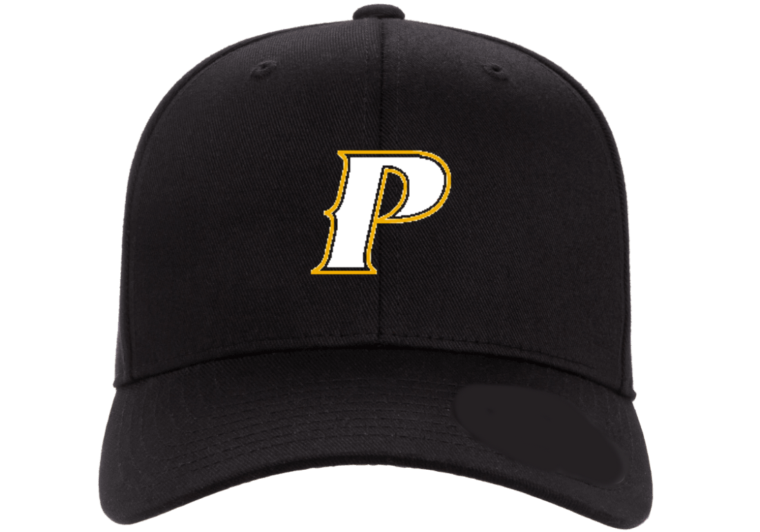 Adult Flex-Fit Baseball Cap