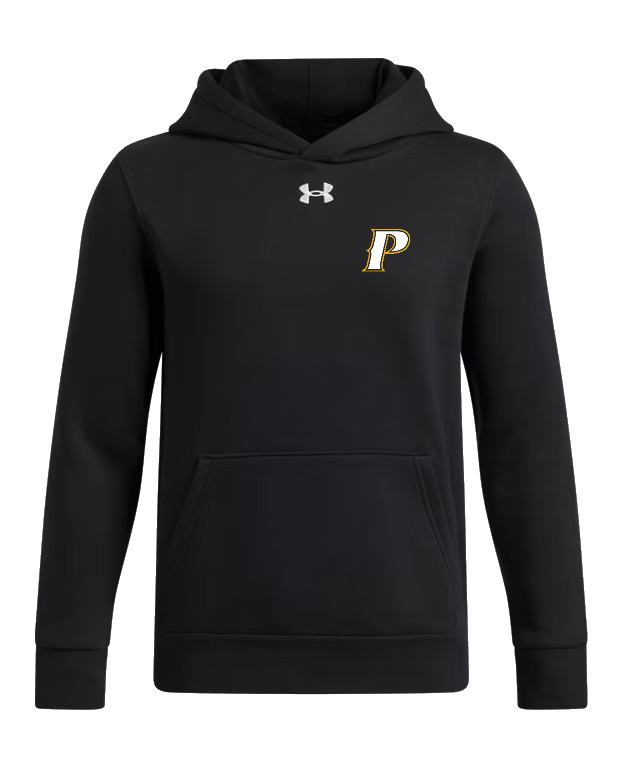 Under Armour Youth Icon Fleece Team Hoodie