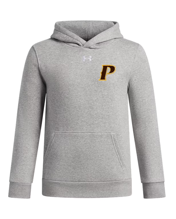 Under Armour Youth Icon Fleece Team Hoodie