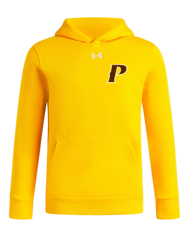 Under Armour Youth Icon Fleece Team Hoodie