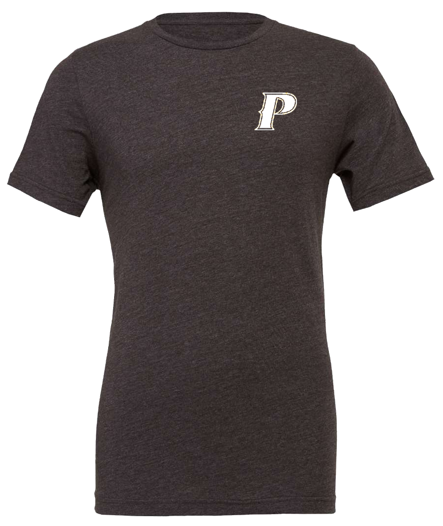 Bella Canvas Adult Blend CVC Tee