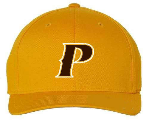 Adult Flex-Fit Baseball Cap - "P" or "SHIELD" [colors: Brown, Light Grey, Dark Grey, Gold, White]