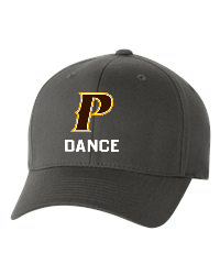 Adult Flex-Fit Baseball Cap - "P Dance"  [colors: Brown, White, Gray]