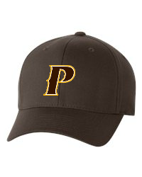 Youth Flex-Fit Classic Baseball Cap -"P" [colors: brown, graphite]