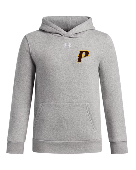 Under Armour Youth Icon Fleece Team Hoodie