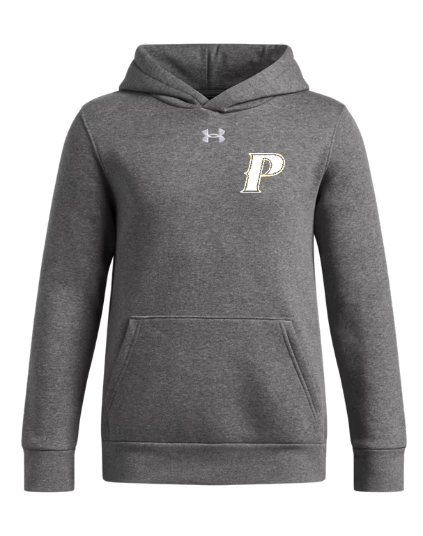 Under Armour Youth Icon Fleece Team Hoodie