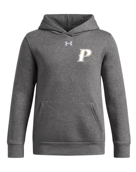 Under Armour Youth Icon Fleece Team Hoodie