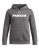 Under Armour Youth Icon Fleece Team Hoodie