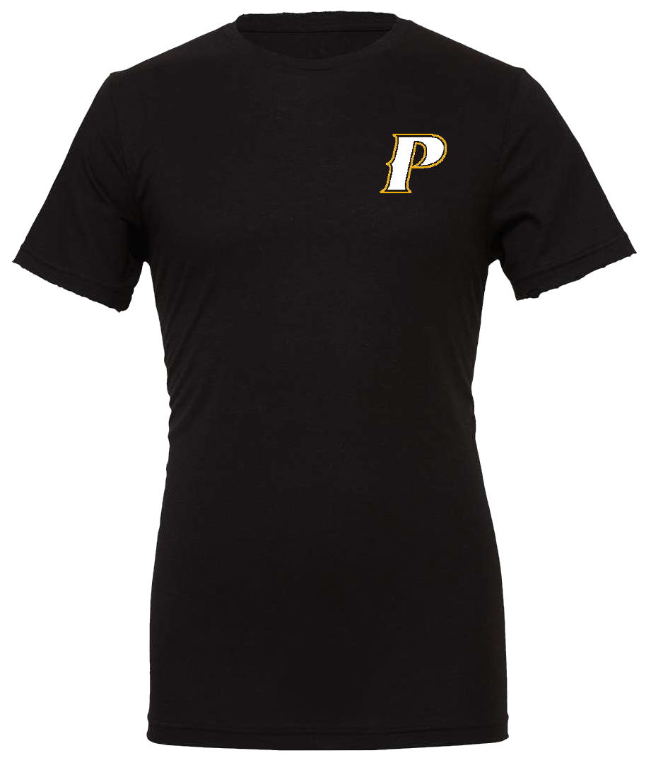 Adult  Blend CVC Tee - "PARKER" or "P"