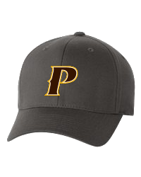 Youth Flex-Fit Classic Baseball Cap -"P" or "SHIELD"