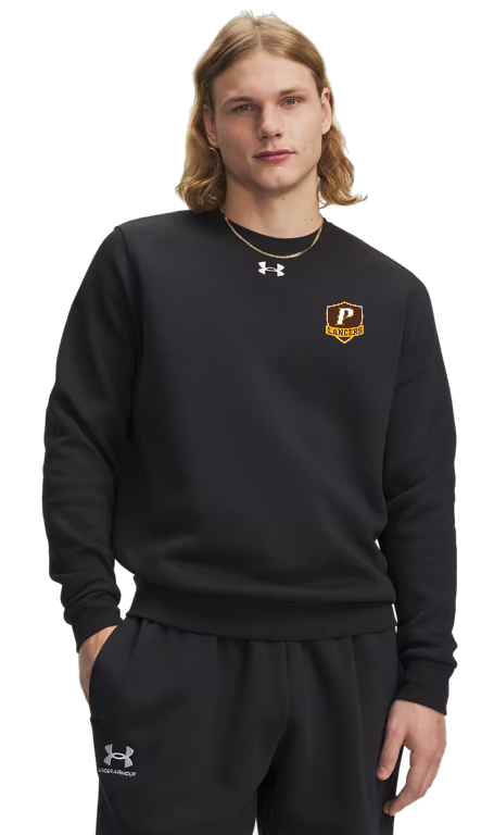 Under Armour Men's Team Icon Fleece Crew