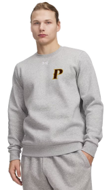 Under Armour Men's Team Icon Fleece Crew