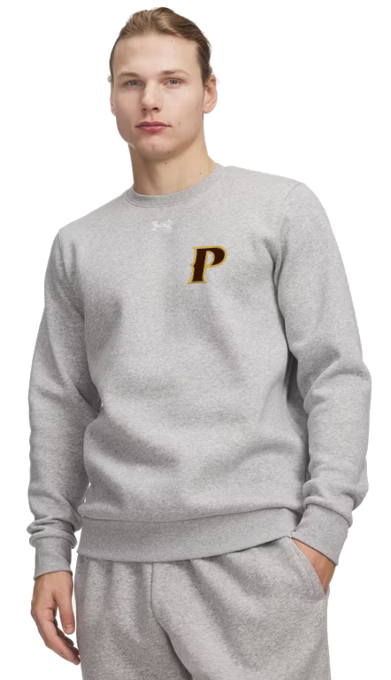 Under Armour Men's Team Icon Fleece Crew