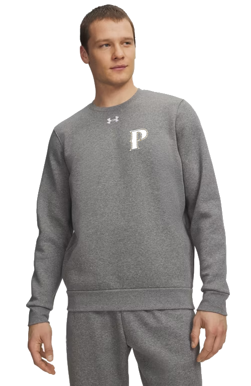 Under Armour Men's Team Icon Fleece Crew