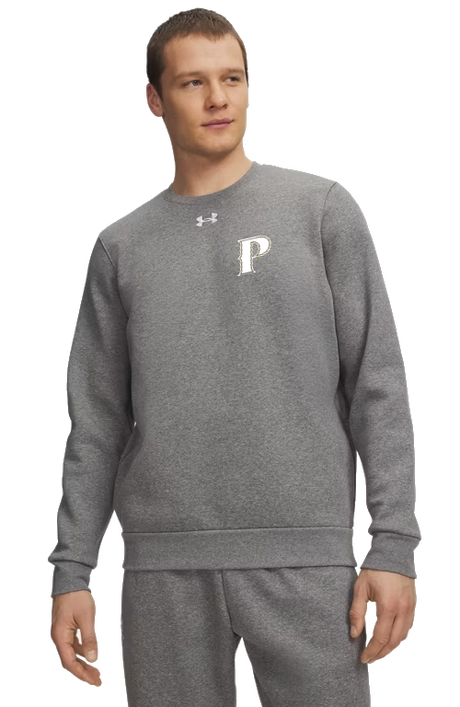 Under Armour Men's Team Icon Fleece Crew