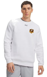 Under Armour Men's Team Icon Fleece Crew