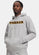 Under Armour Icon Fleece Team Hoodie